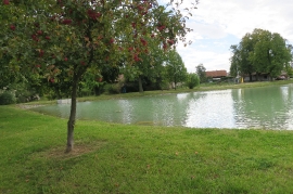 Lhota u Chroustovic - Revitalizace rybníka
