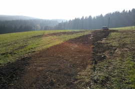 WP_000675